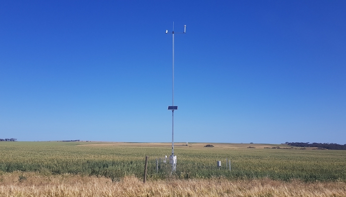 COtL Automatic Weather Station at Walker Flat