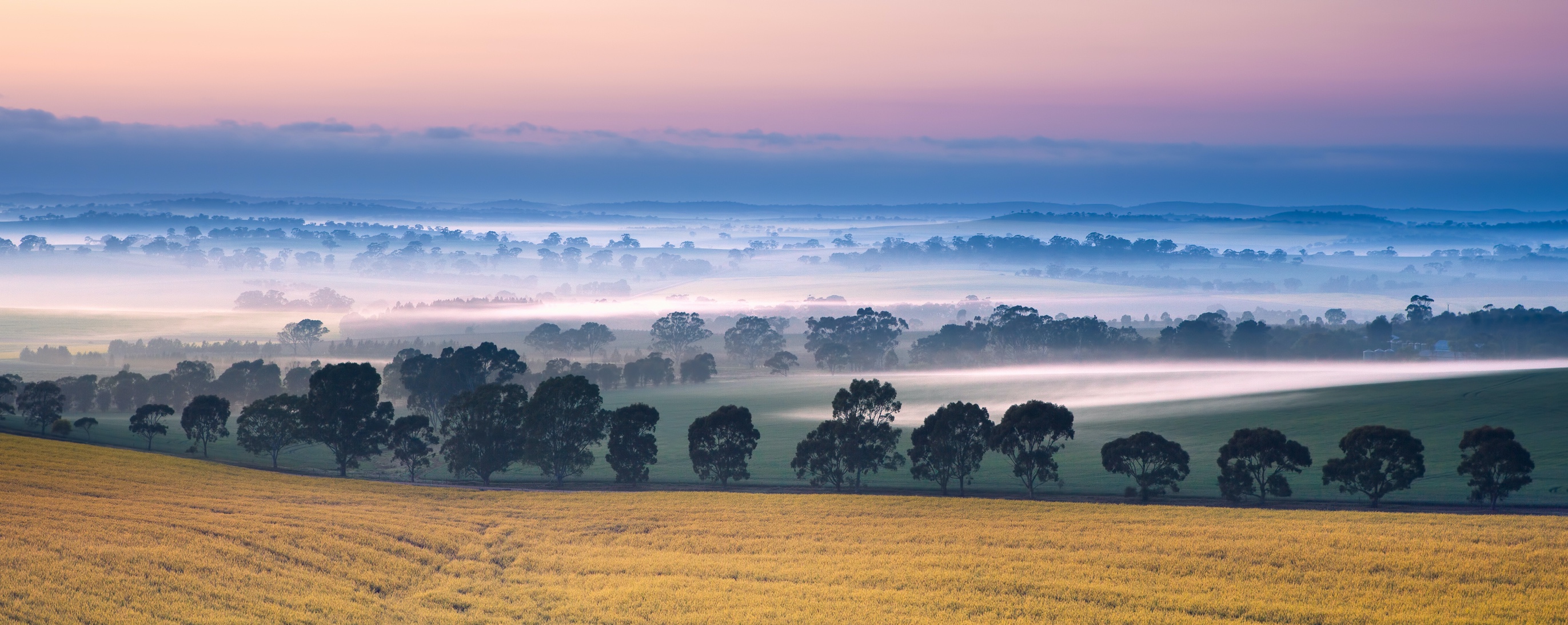 Sunrise in the Clare Valley, South Australia
